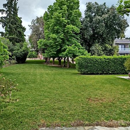 Spitaki Βίλα Πευκοχώρι Εξωτερικό φωτογραφία