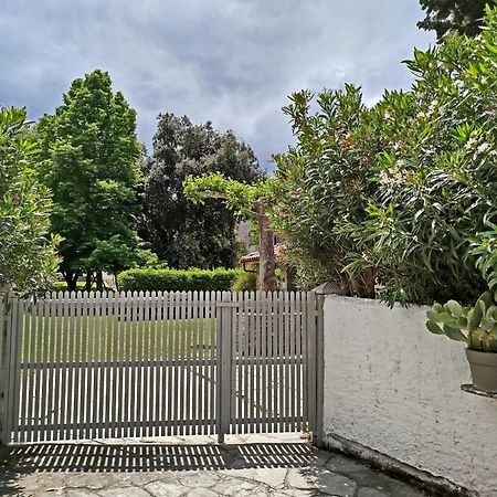 Spitaki Βίλα Πευκοχώρι Εξωτερικό φωτογραφία
